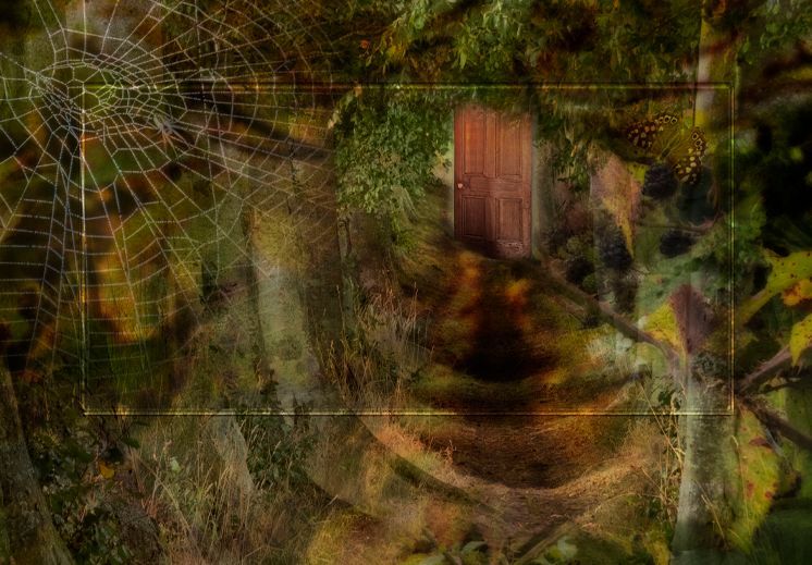 Composite Photograph by Julie Close The Wee Pixel