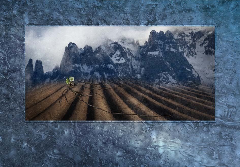 Composite Photograph by Julie Close The Wee Pixel