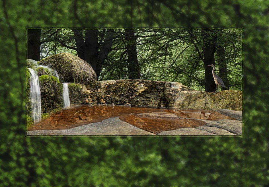 Composite Photograph by Julie Close The Wee Pixel