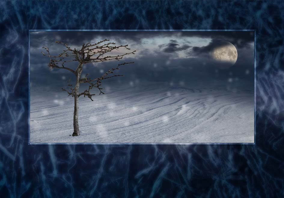 Composite Photograph by Julie Close The Wee Pixel