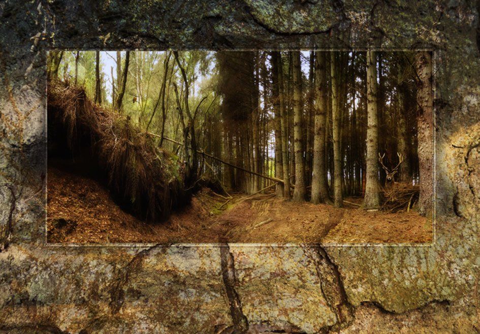 Composite Photograph by Julie Close The Wee Pixel