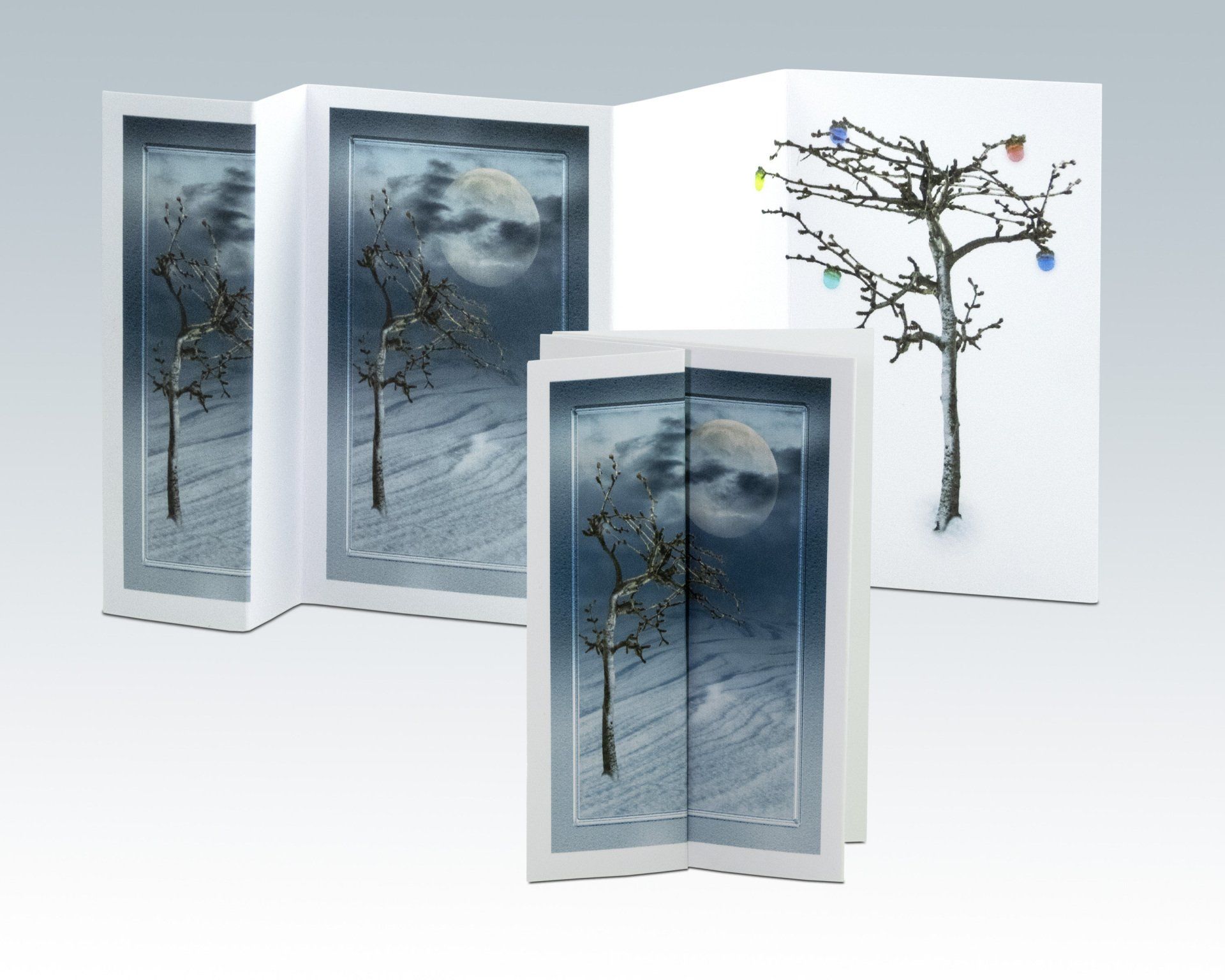 Composite Photograph by Julie Close The Wee Pixel