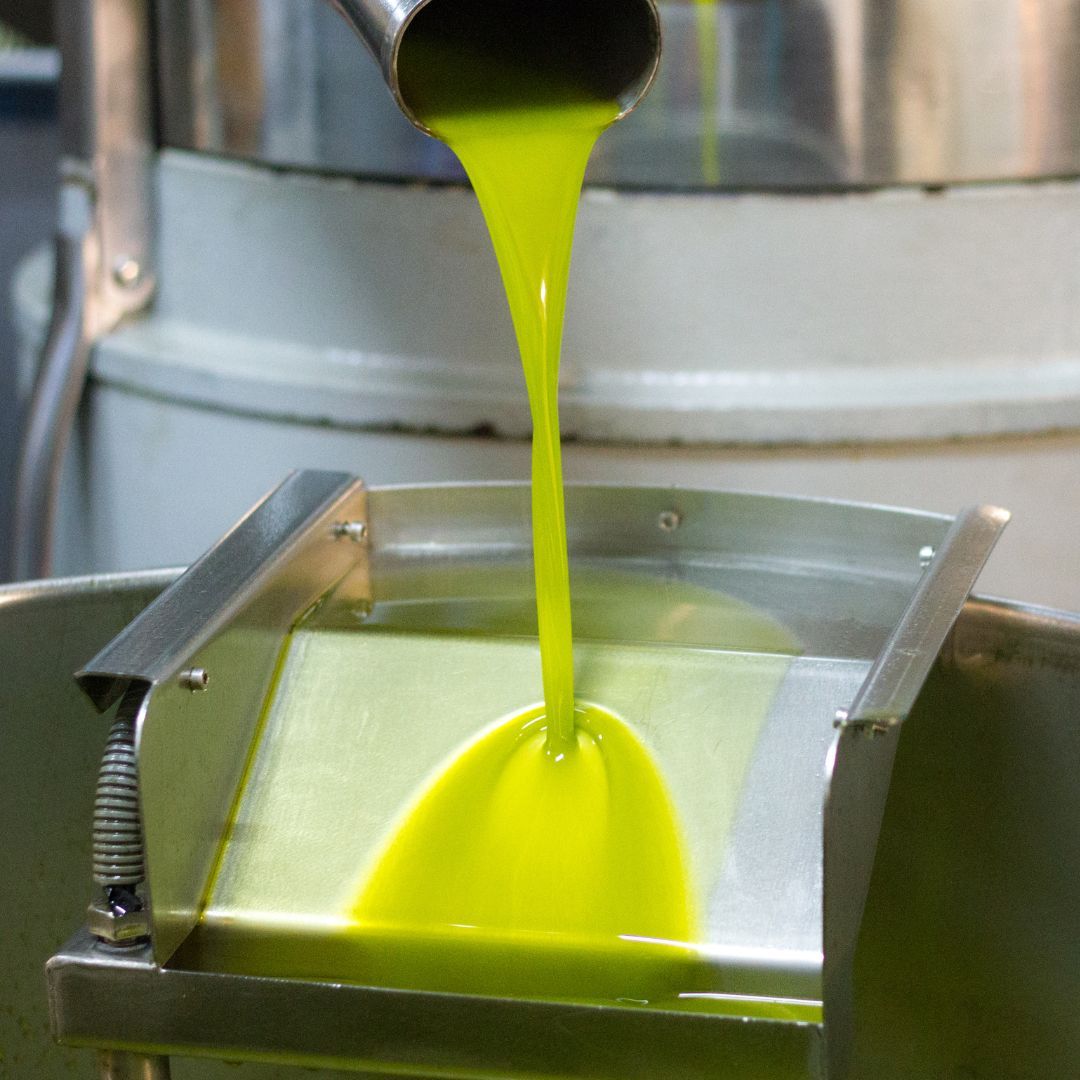 Durante la raccolta il nostro frantoio si riempie dell’inconfondibile profumo di olive freschissime appena raccolte. Dopo la raccolta portiamo le olive subito in frantoio e le spremiamo a freddo entro 3 ore. Non le lasciamo rovinare al sole o sotto la pioggia per giorni come purtroppo fanno ancora troppi frantoi. Confezioniamo l’olio solo pochi minuti prima della spedizione per garantirti la massima freschezza dei sapori e dei profumi che sentirai a casa tua, gli stessi che respiriamo noi in frantoio durante la spremitura. Durante la raccolta il nostro frantoio si riempie dell’inconfondibile profumo di olive freschissime appena raccolte. Dopo la raccolta portiamo le olive subito in frantoio e le spremiamo a freddo entro 3 ore. Non le lasciamo rovinare al sole o sotto la pioggia per giorni come purtroppo fanno ancora troppi frantoi. Confezioniamo l’olio solo pochi minuti prima della spedizione per garantirti la massima freschezza dei sapori e dei profumi che sentirai a casa tua, gli stessi che respiriamo noi in frantoio durante la spremitura.