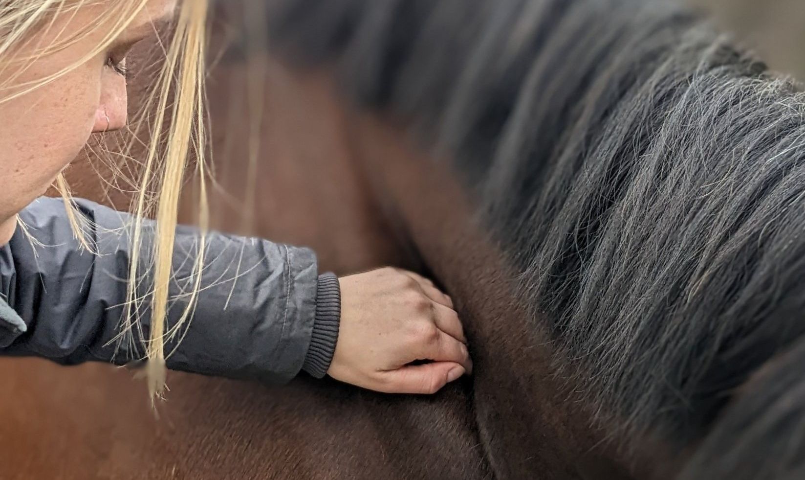 Pferdeosteopathie und Physiotherapie für Pferde Schwalmtal, Wegberg, Brüggen und Lobberich