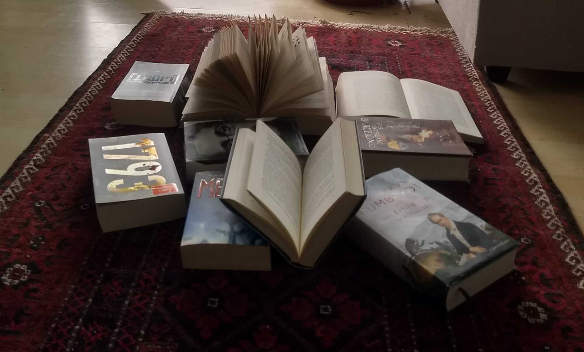 Ein paar Bücher, die auf einem Teppich liegen.