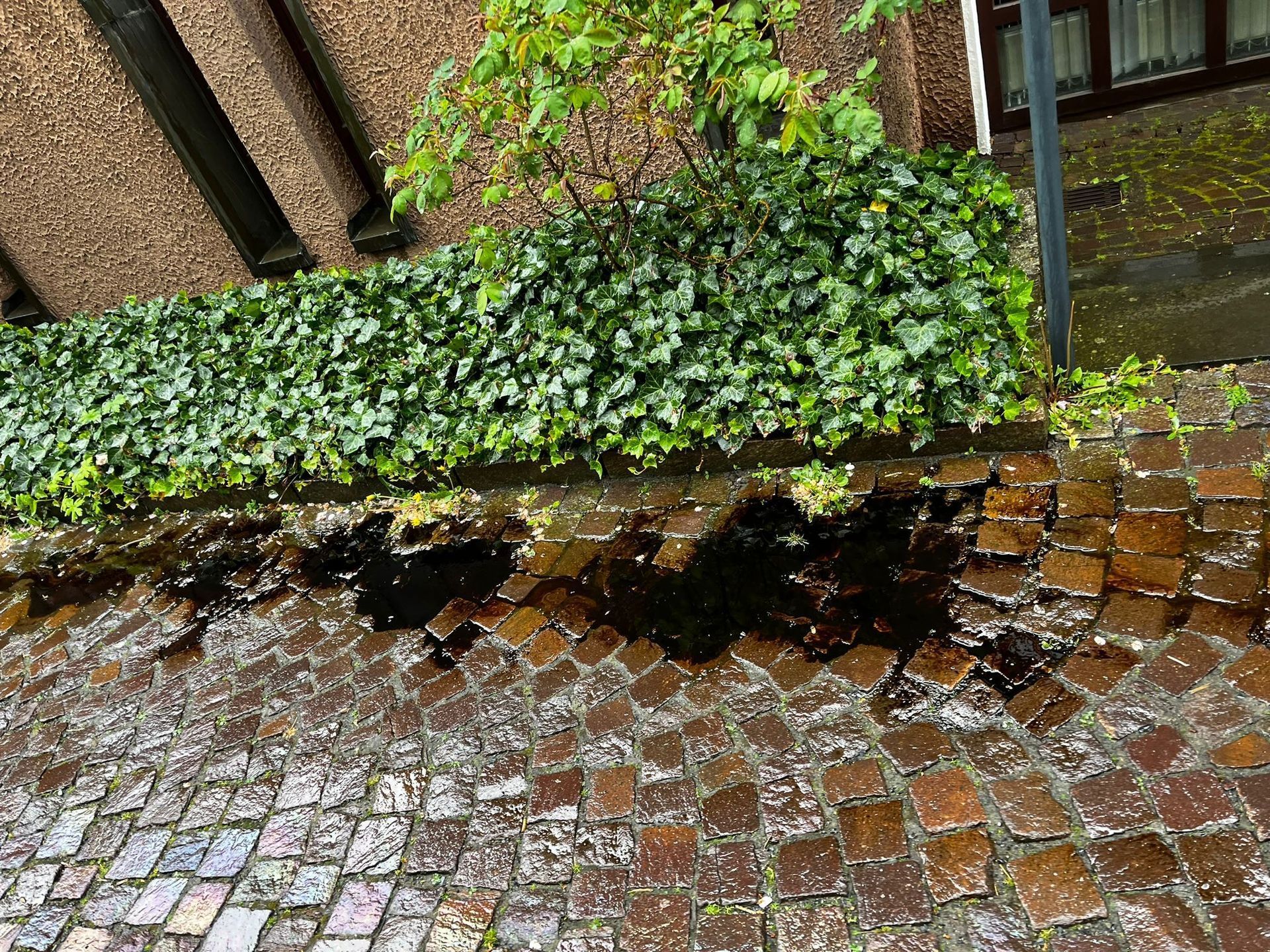 Motoröl an der Einsatzstelle Foto: T. Schütz