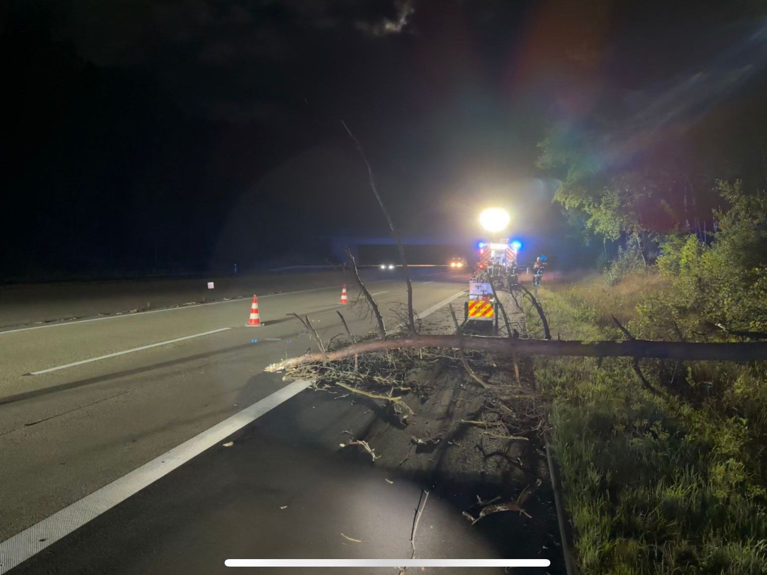 Ein Baum ragt nach einem Sturm auf die Bundesautobahn 7 Foto: E. Schwiesow