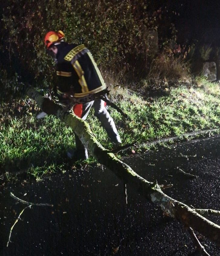 Beseitigung eines umgestürzten Baumes Foto: M. Vogel