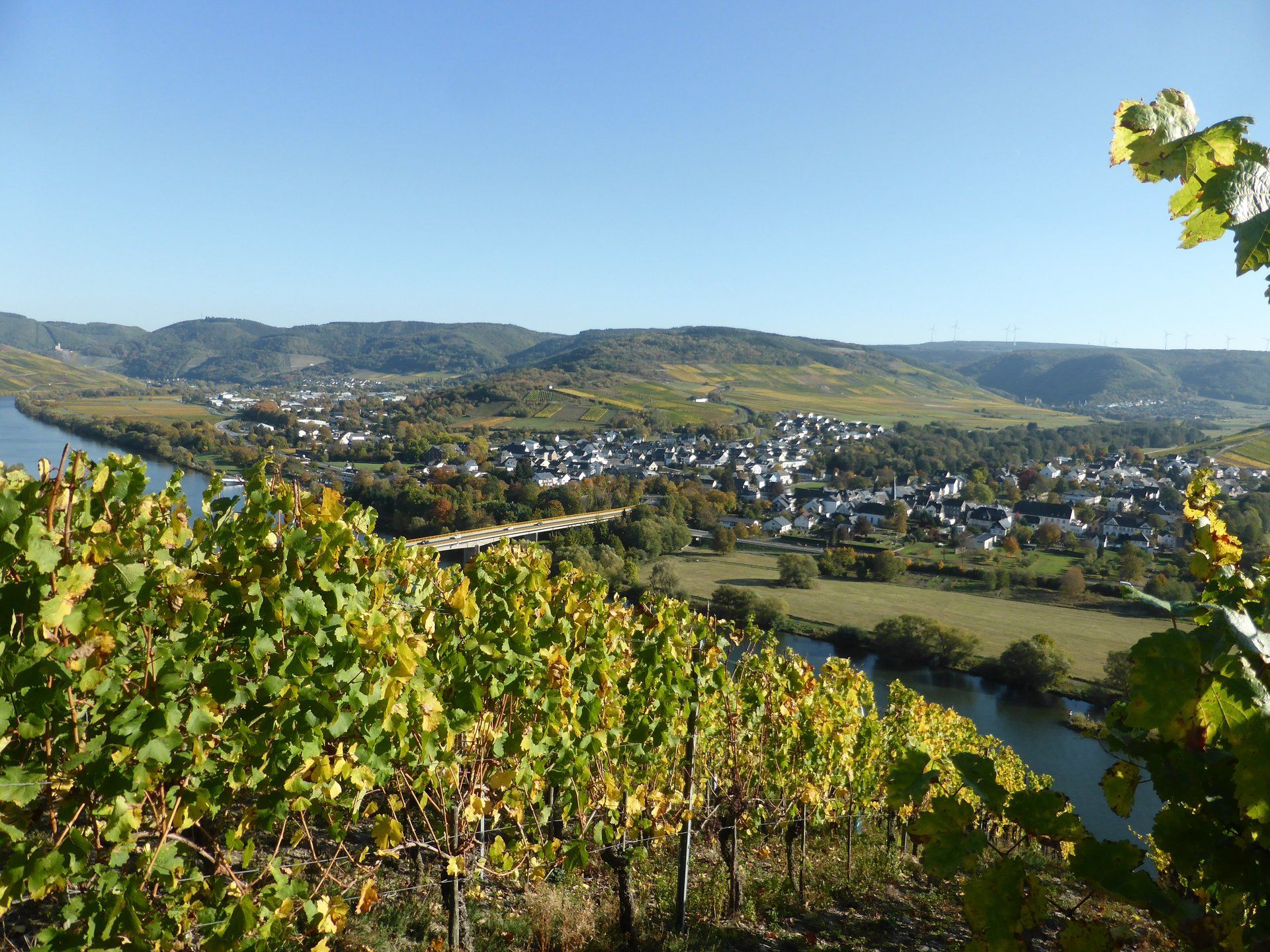 Link zur Touristinfo