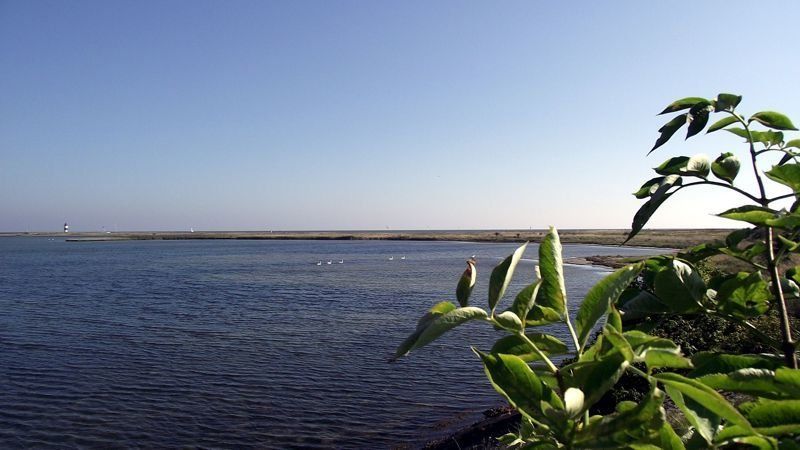 Ostseeblick mit Schleimündung im Ostsee Resort Olpenitz