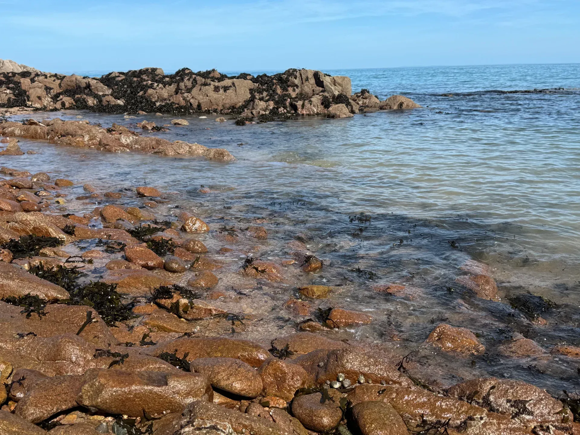 Coastline in Jersey. Calm seas, blue sky, rocks.
