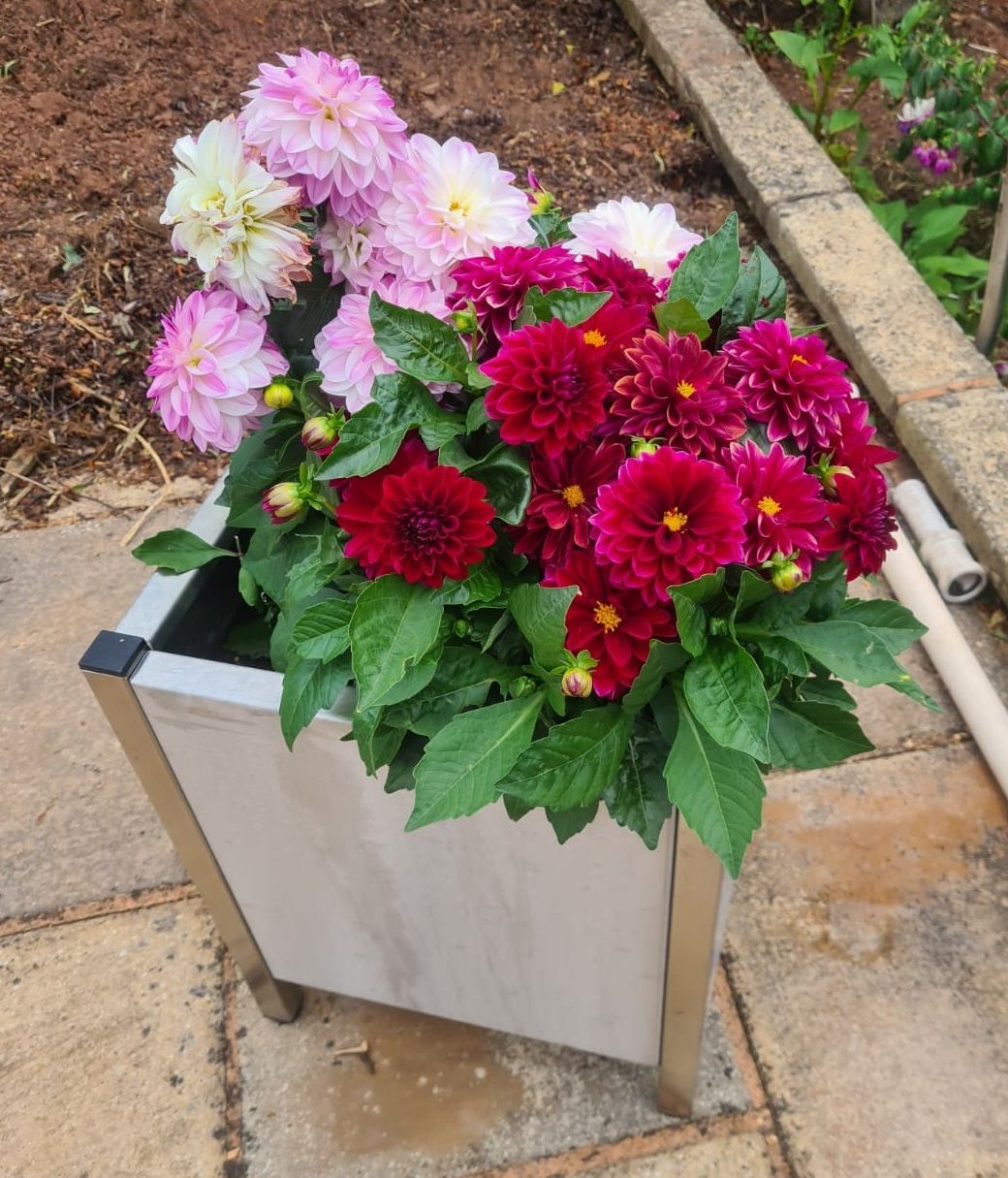 Bac Fleurs en inox Jardinière à fleurs en inox pour jardin