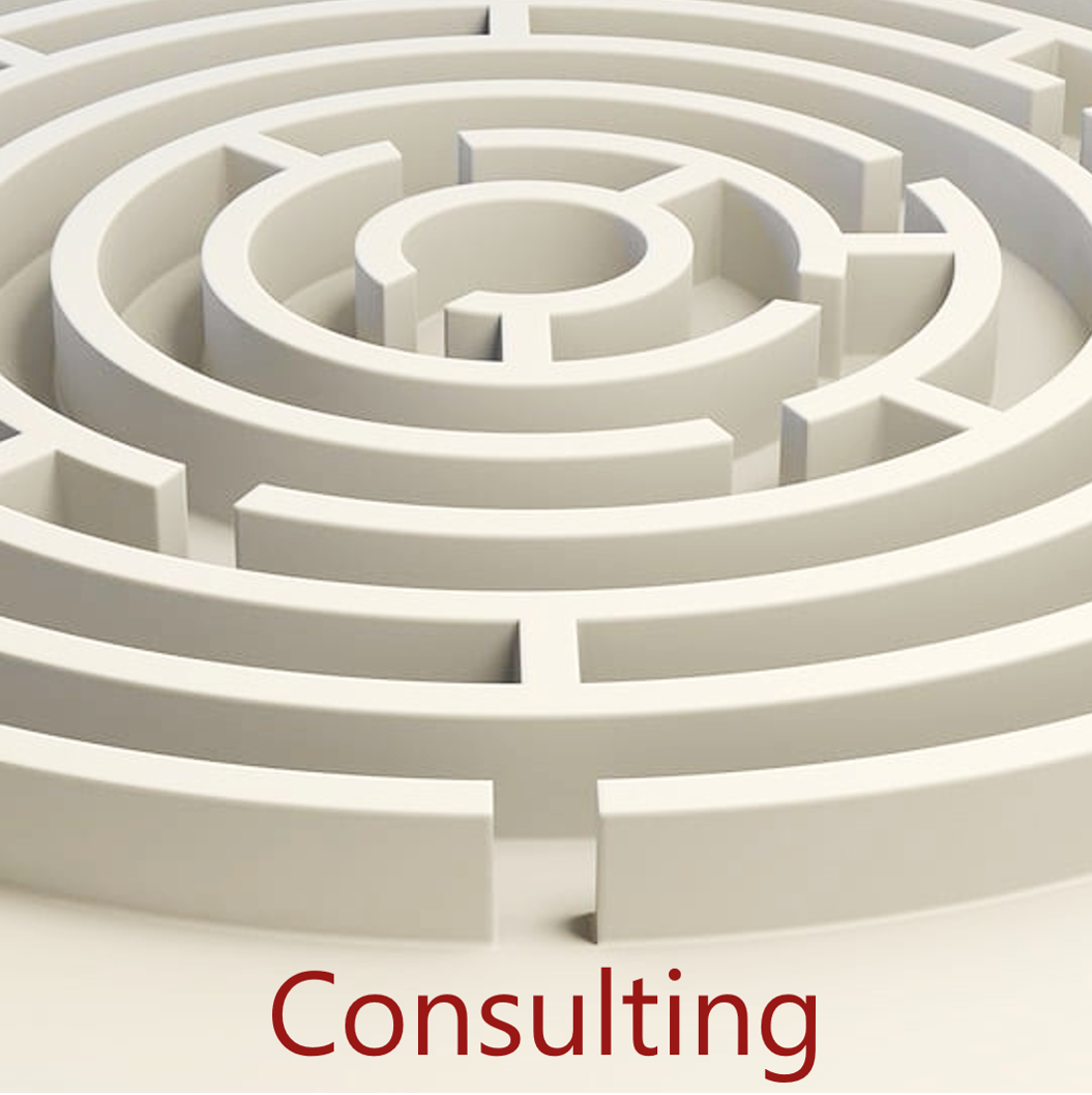 Maze with text Consulting