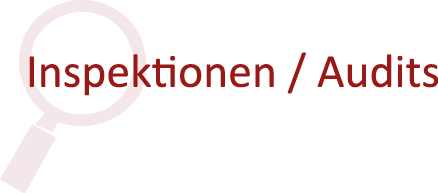 Inspektionen, Audits