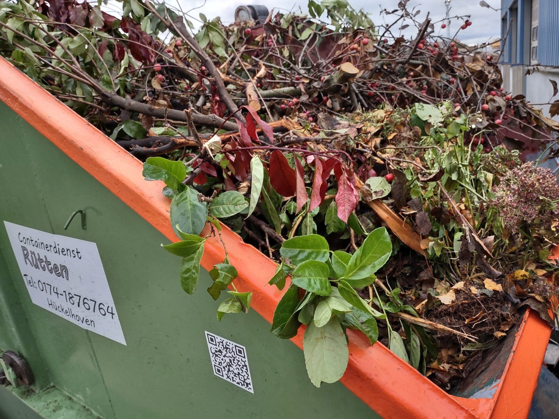 Container mit Gartenabfällen, Zweigen, Laub