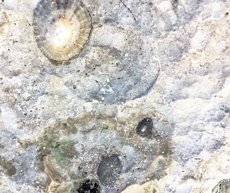 Warum das Thema Sinn der Arbeit für Unternehmen und jeden Einzelnen so wichtig ist.