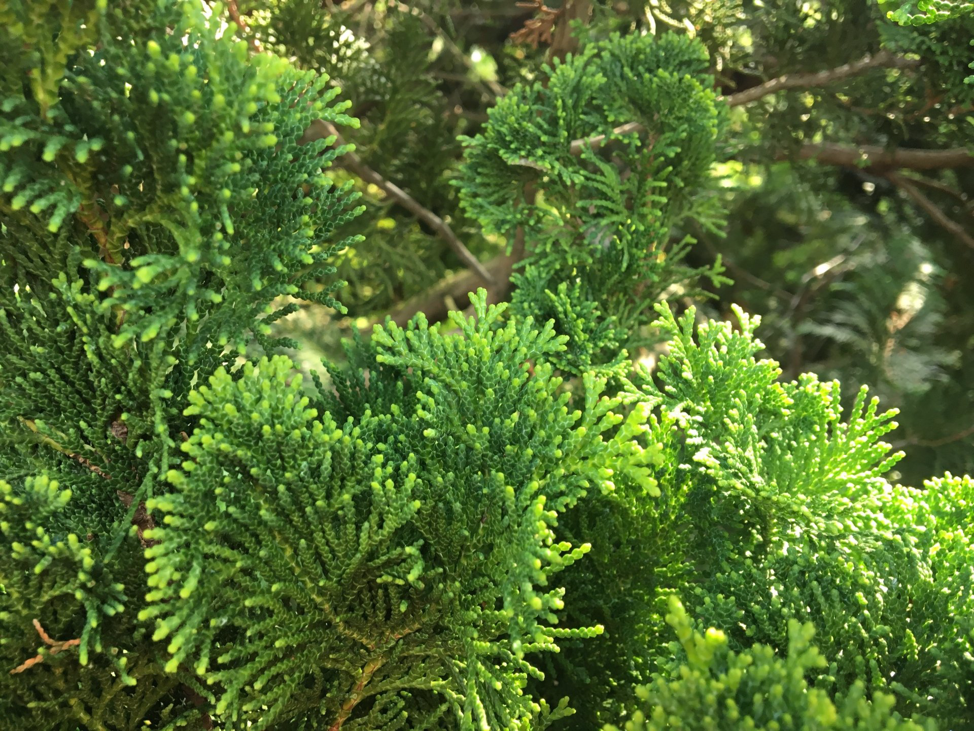 Wirtschaftsförderung und Netzwerke