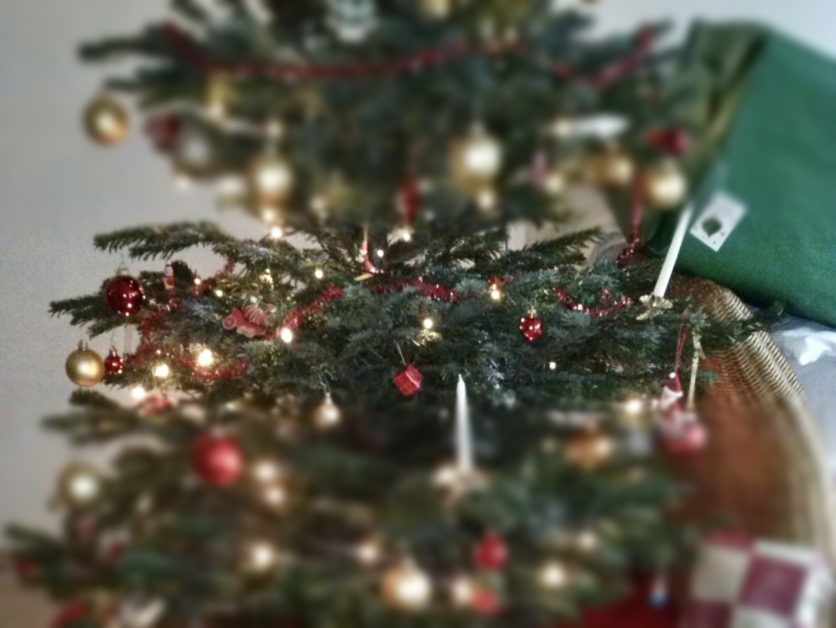 Storytelling unterm Weihnachtsbaum: Tipps für Weihnachtspost