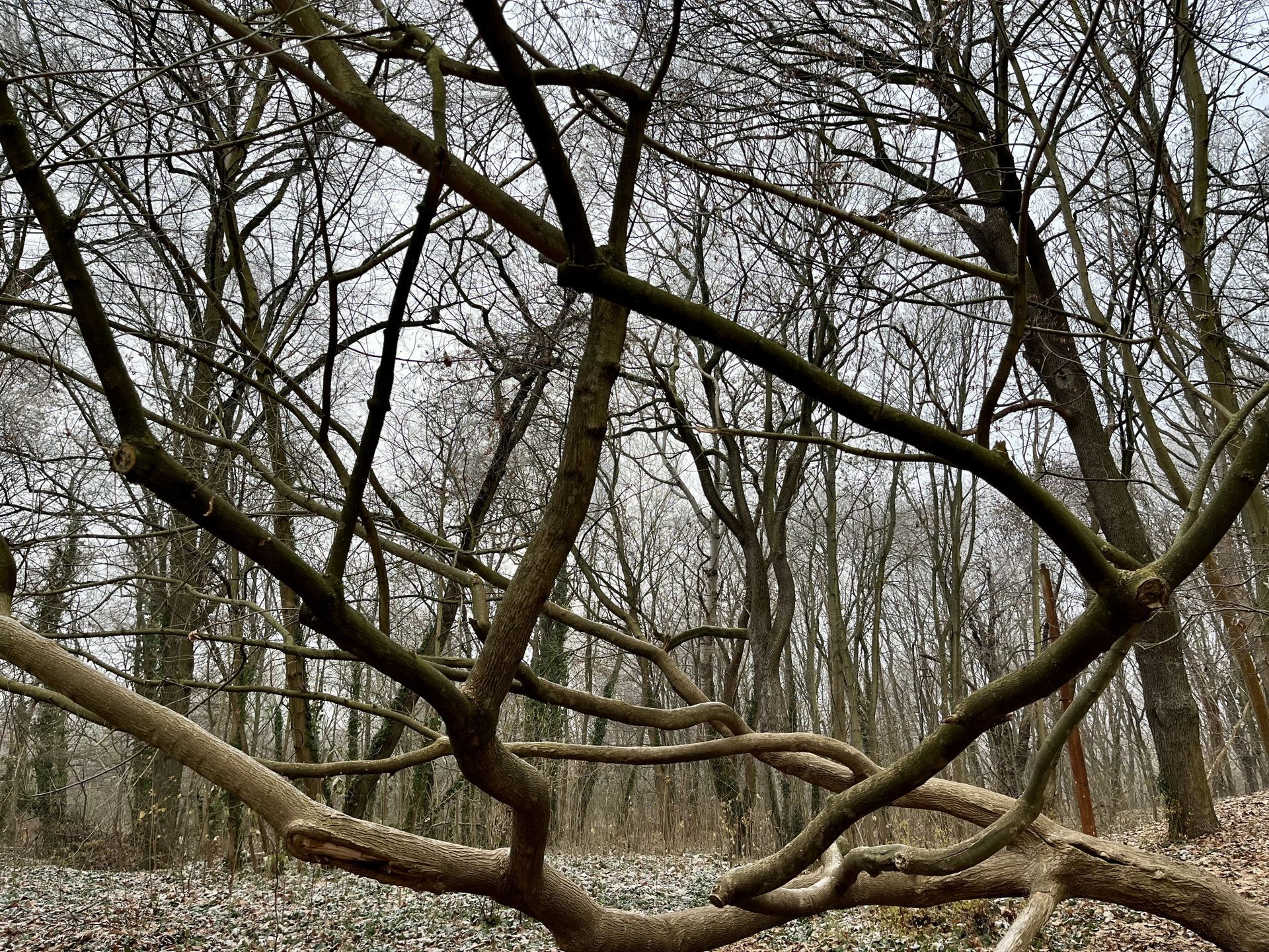Es ist nicht einfach, als Arbeitgeber herauszustechen