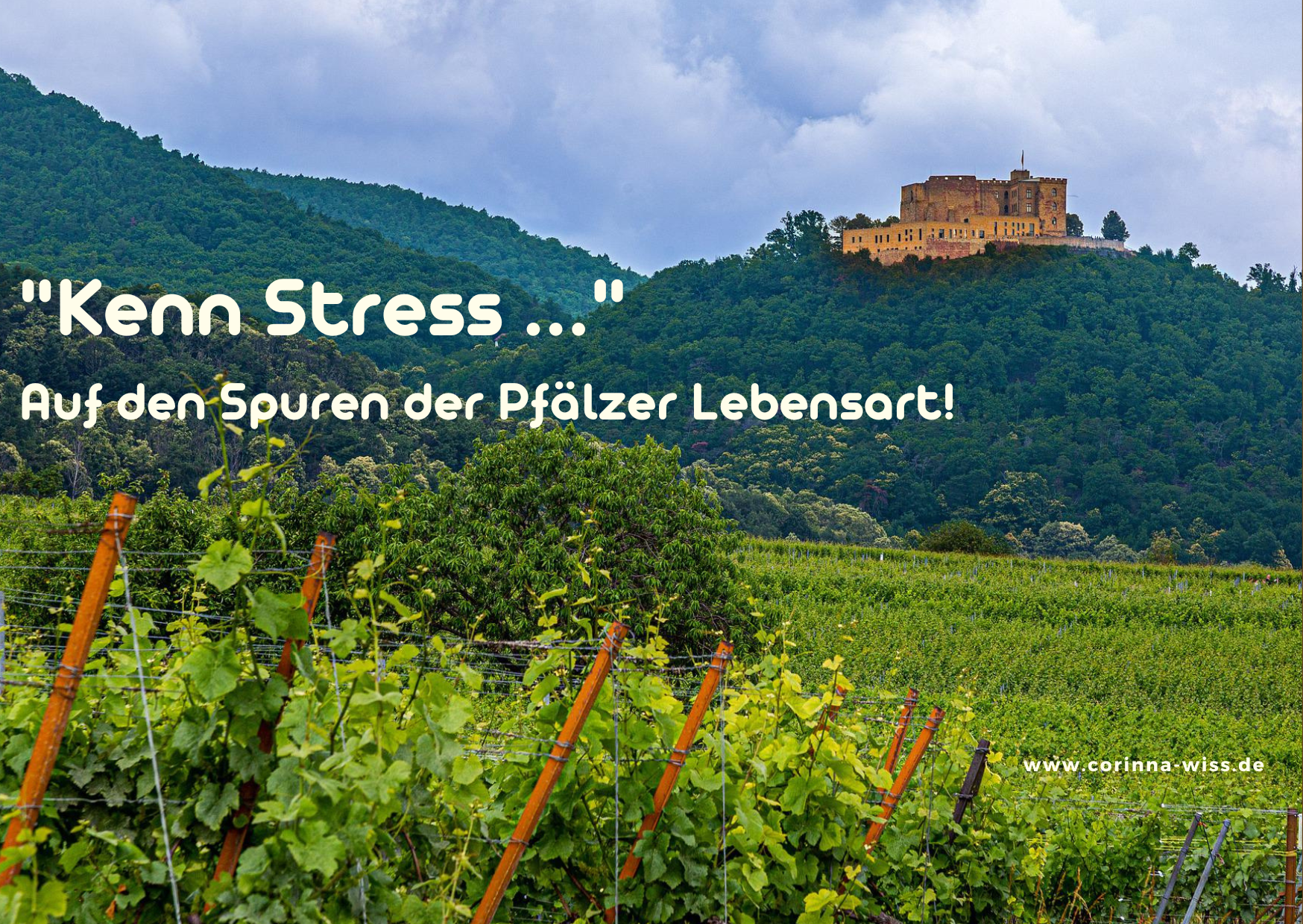 Hambacher Schloss