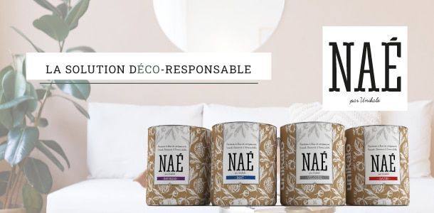 Notre société met en place une politique de qualité axée sur la protection de l'environnement, en collaboration avec un fabricant de peintures, éco-responsables, élaborées en France à MÉRIGNAC en AQUITAINE, conformes aux normes écologiques.