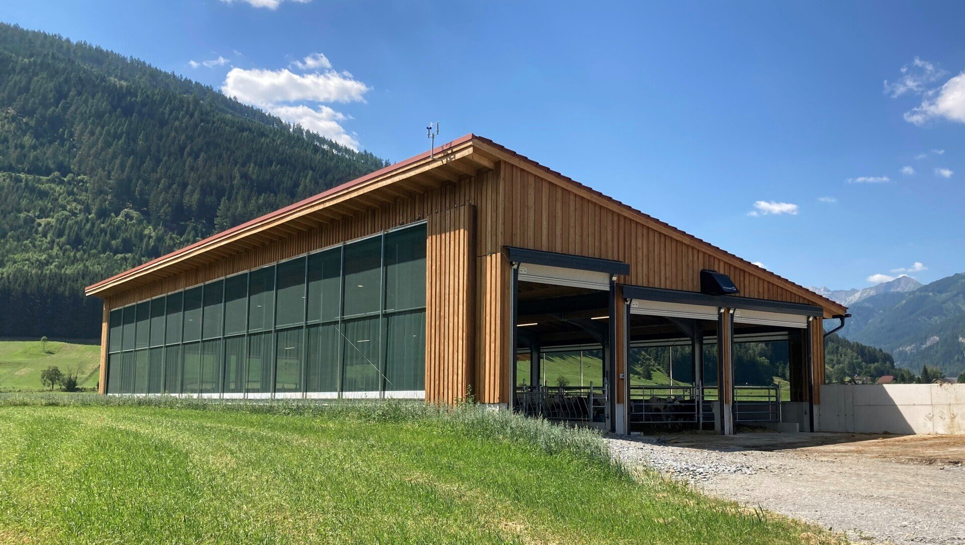 Neubau Rinderlaufstall für 26 Rinder Beim Neubau des Rinderlaufstalls für 26 Rinder wurde der Platz perfekt genutzt und der Stall sehr gut in das Gelände intigriert.