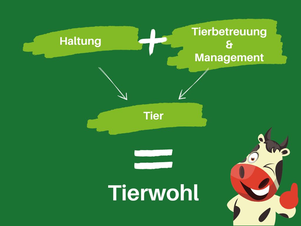 Investitionen Lebenszyklus Stallbau