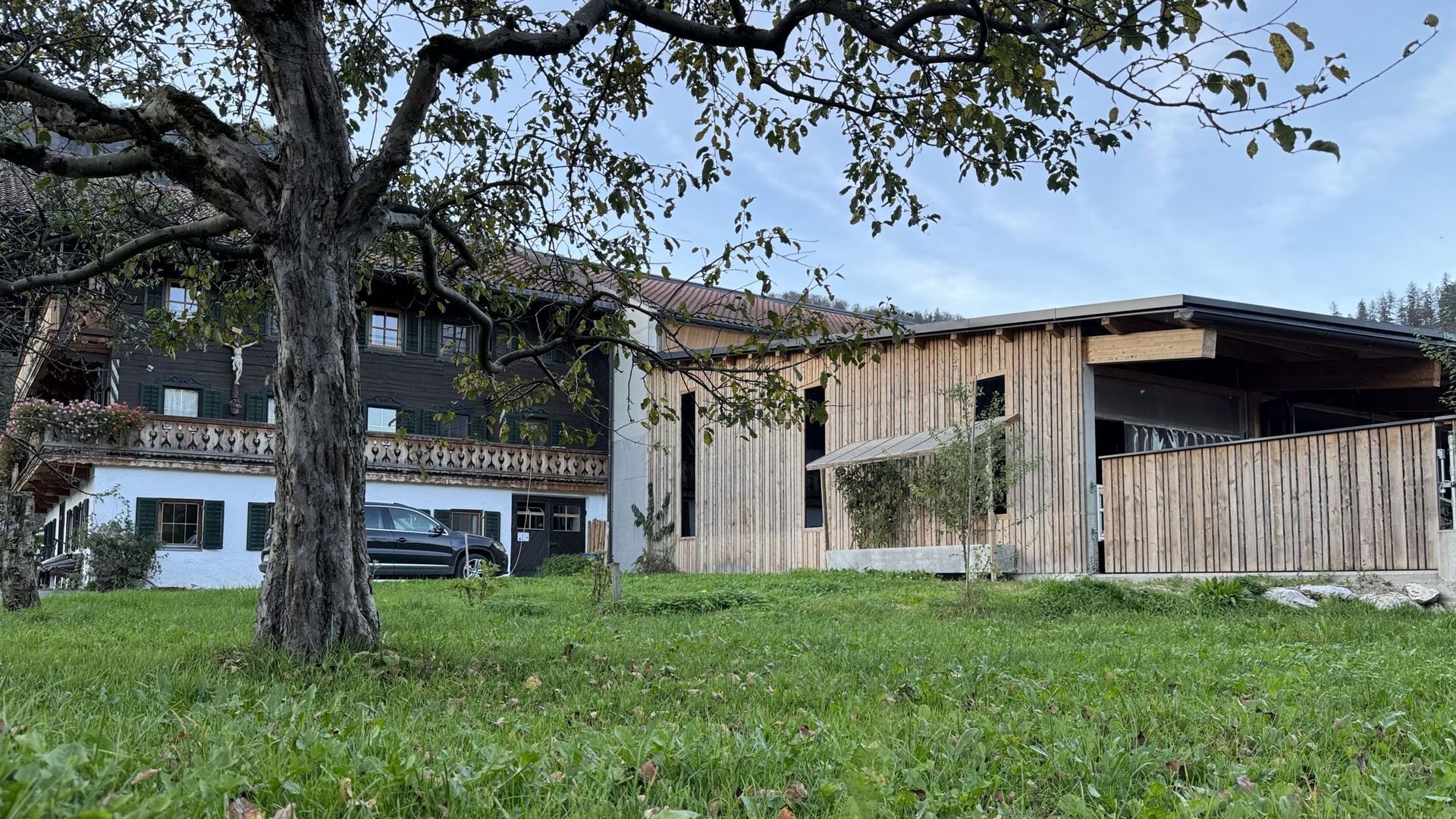 Neubau Rinderlaufstall für 26 Rinder Beim Neubau des Rinderlaufstalls für 26 Rinder wurde der Platz perfekt genutzt und der Stall sehr gut in das Gelände intigriert.