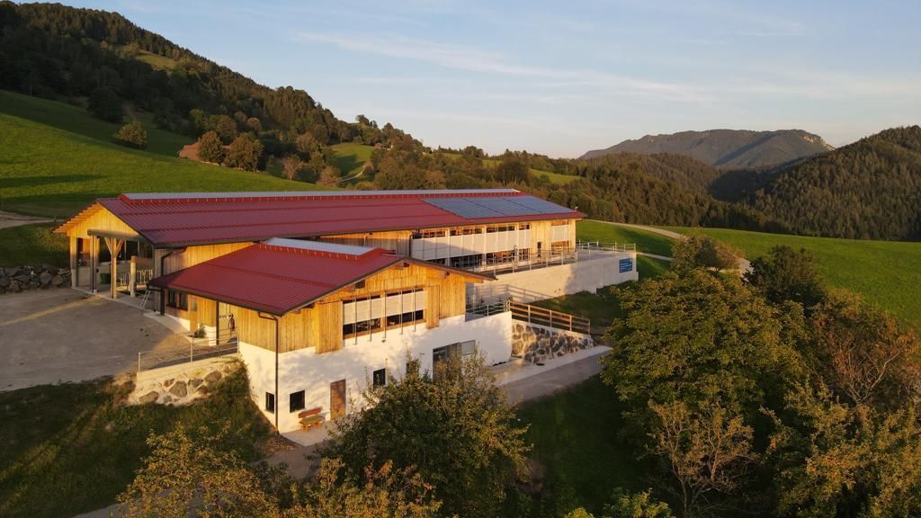 Neubau Rinderlaufstall für 26 Rinder Beim Neubau des Rinderlaufstalls für 26 Rinder wurde der Platz perfekt genutzt und der Stall sehr gut in das Gelände intigriert.