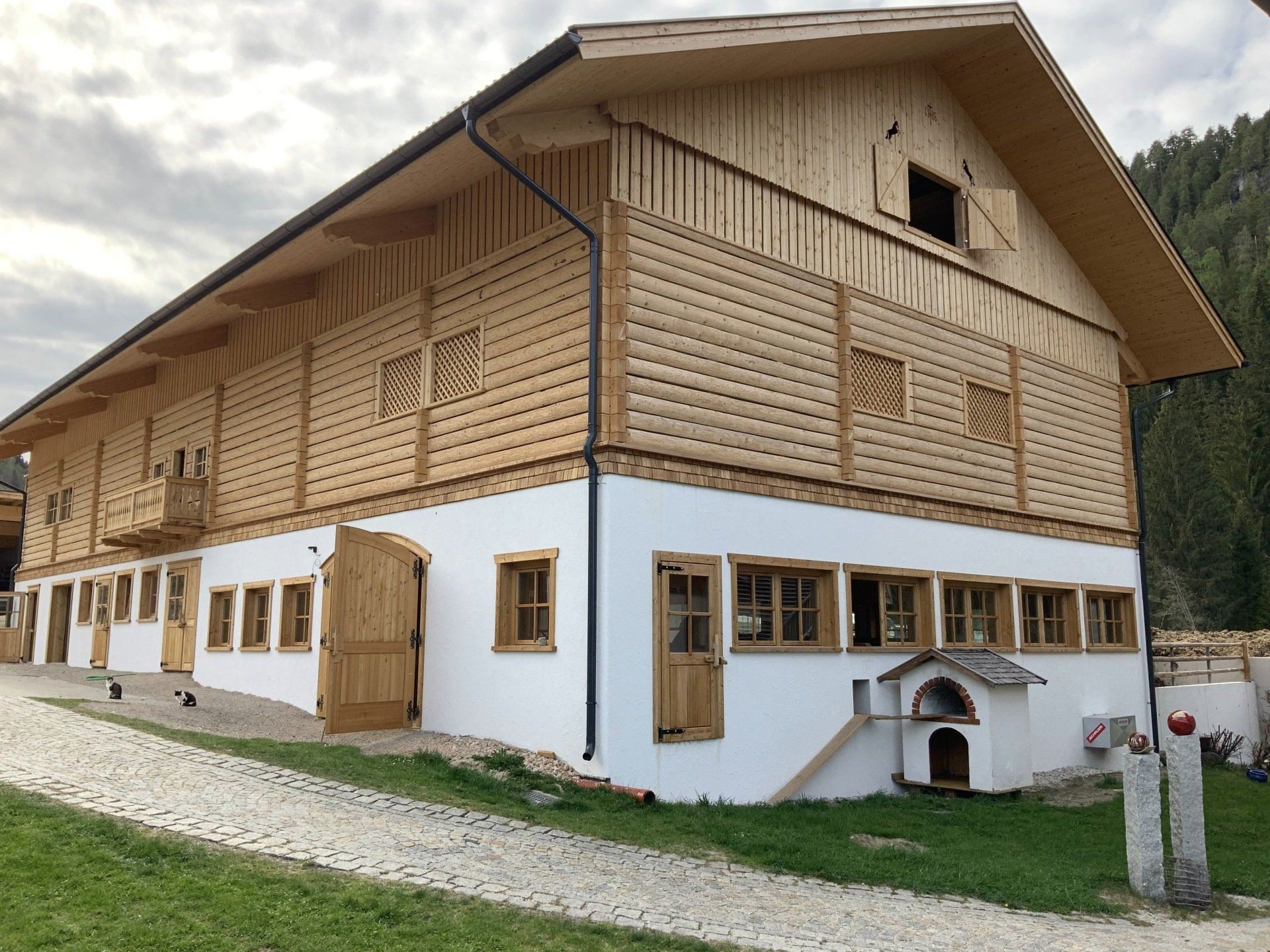 Stall planen Landwirtschaft Kuh Kühe Rinderstall Laufstall