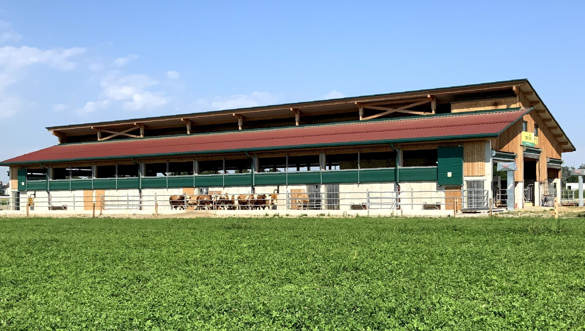 Beim Neubau des Rinderlaufstalls für 26 Rinder wurde der Platz perfekt genutzt und der Stall sehr gut in das Gelände intigriert.