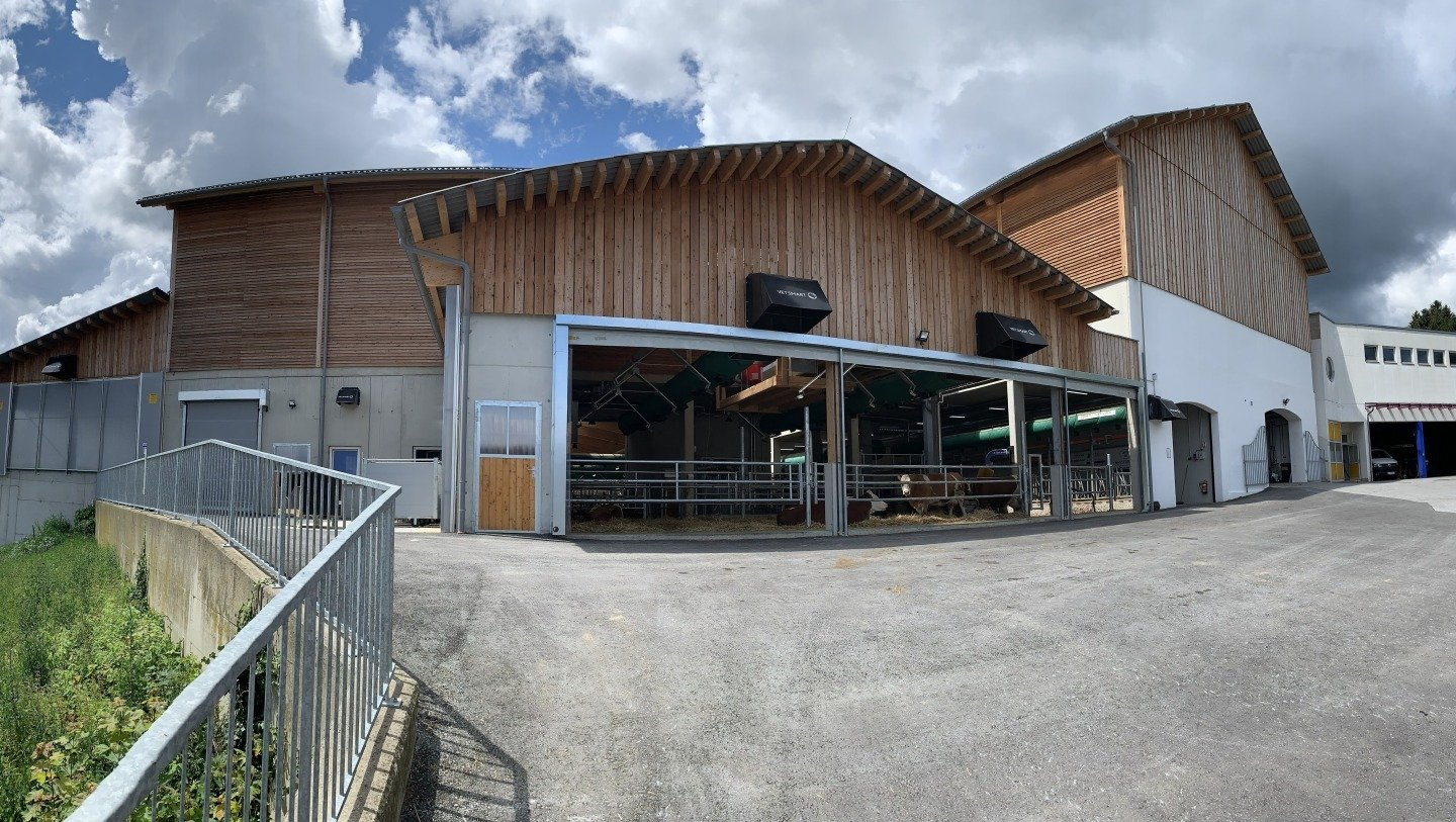 Neubau Rinderlaufstall für 26 Rinder Beim Neubau des Rinderlaufstalls für 26 Rinder wurde der Platz perfekt genutzt und der Stall sehr gut in das Gelände intigriert.