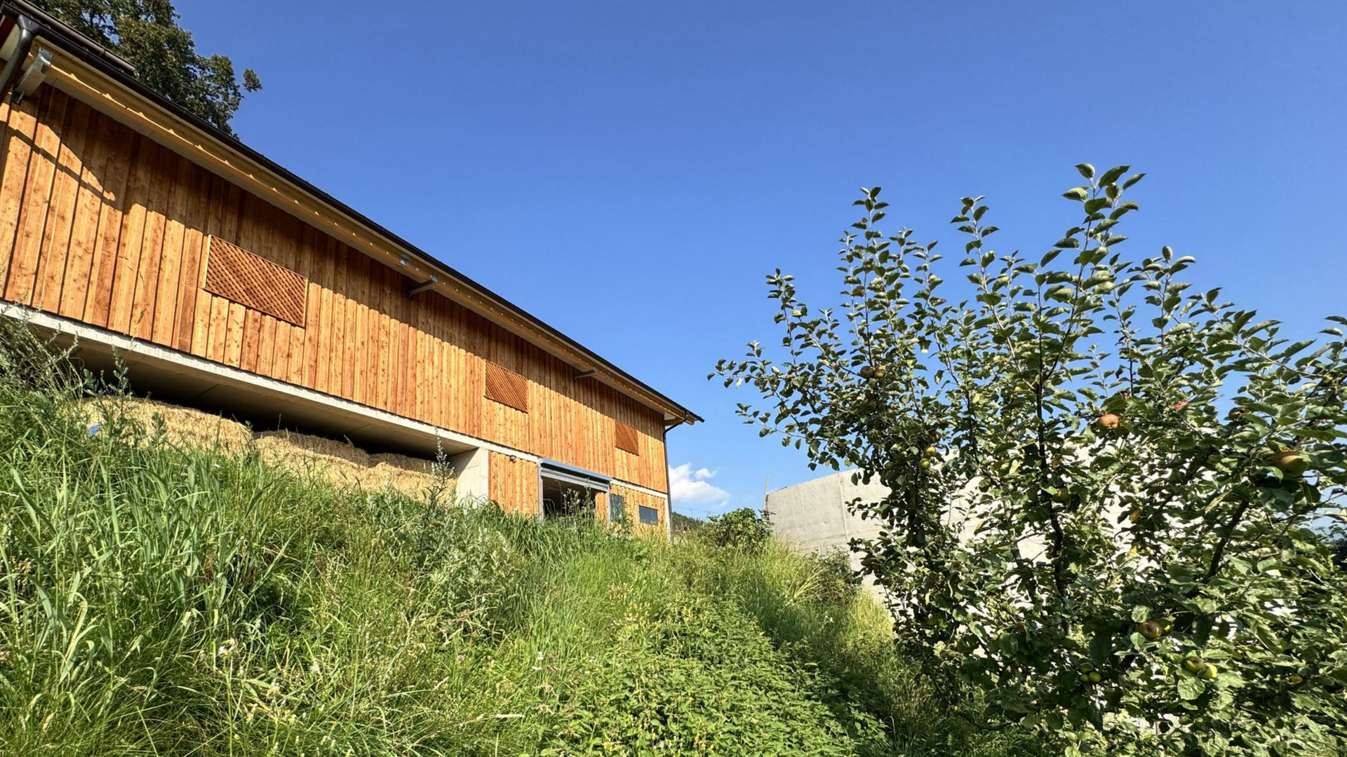 Zubau zweihäusiger Liegeboxenlaufstall