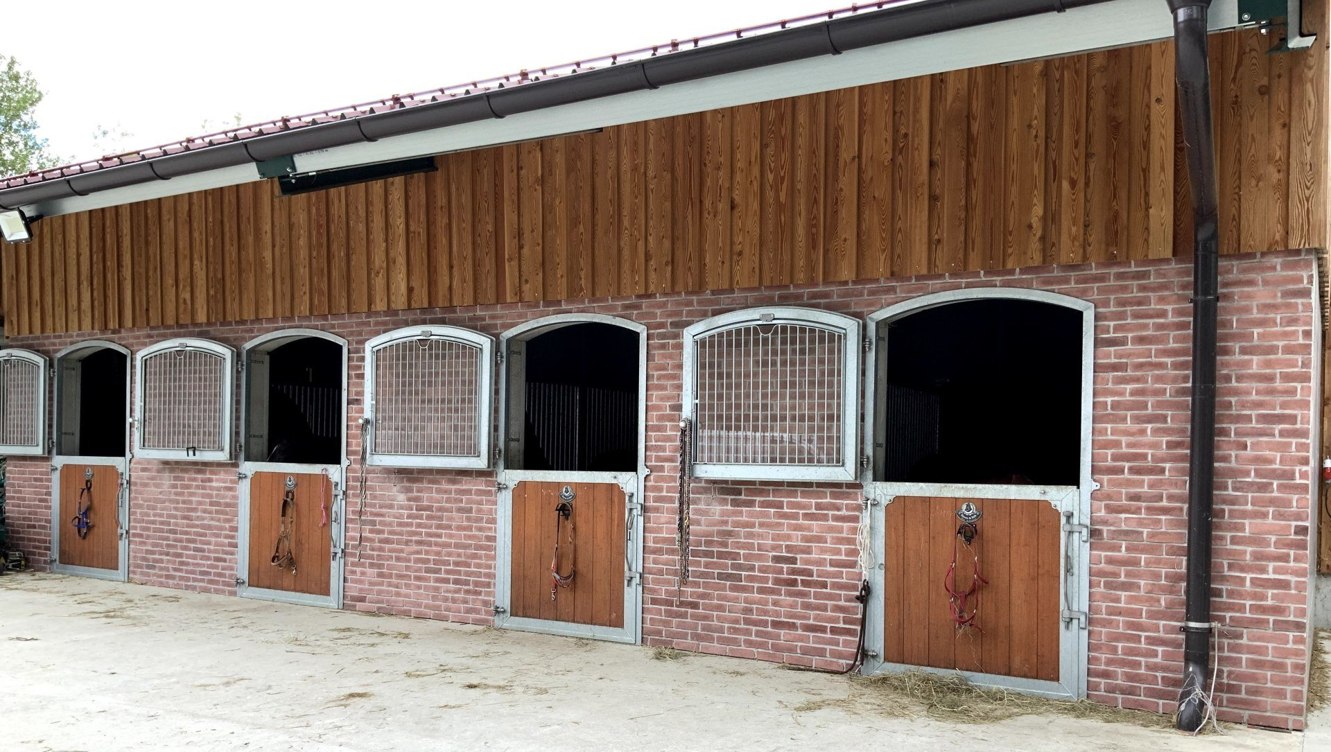 Neubau Rinderlaufstall für 26 Rinder Beim Neubau des Rinderlaufstalls für 26 Rinder wurde der Platz perfekt genutzt und der Stall sehr gut in das Gelände intigriert.