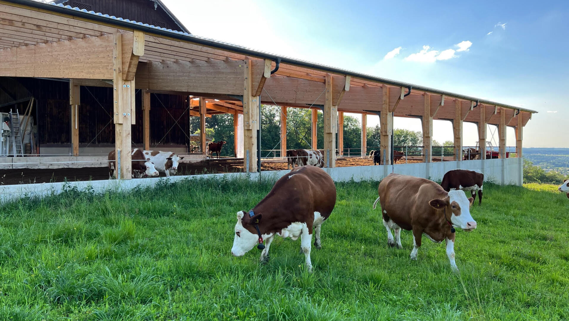 Beim Neubau des Rinderlaufstalls für 26 Rinder wurde der Platz perfekt genutzt und der Stall sehr gut in das Gelände intigriert.