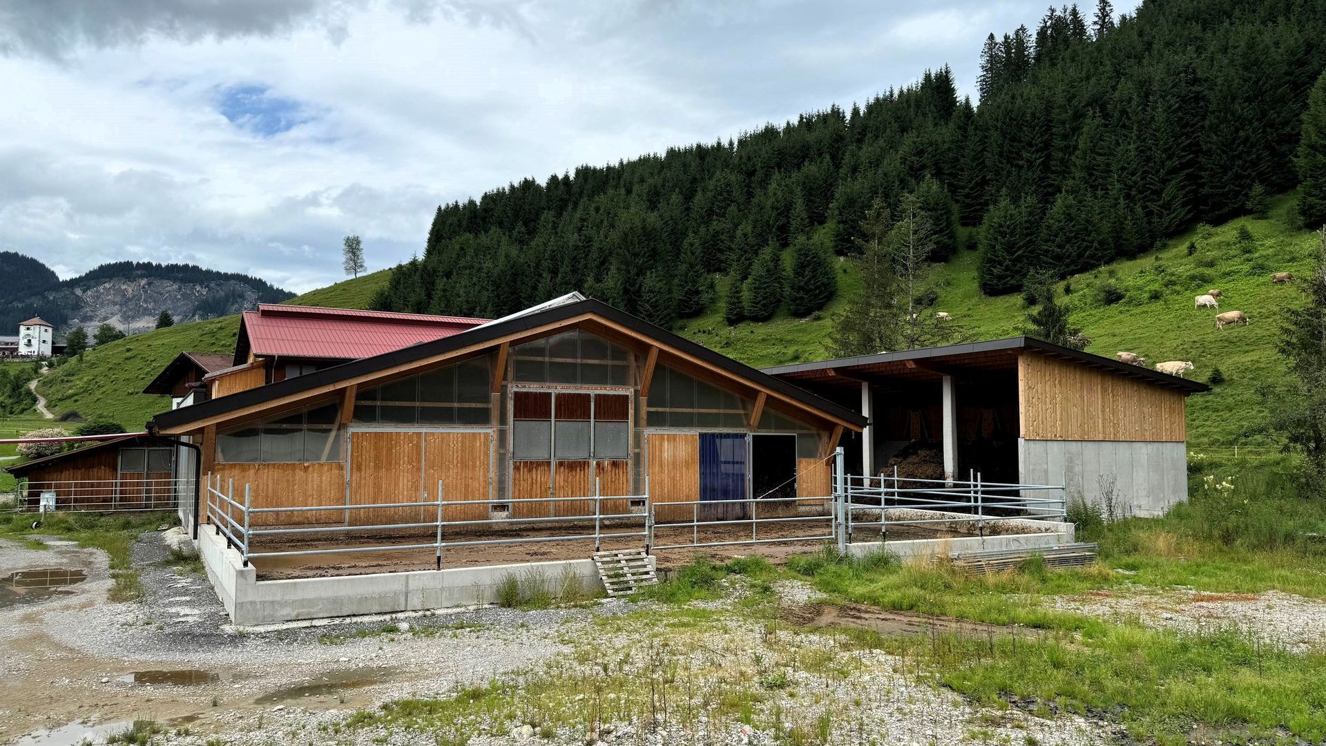 Neubau Rinderlaufstall für 26 Rinder Beim Neubau des Rinderlaufstalls für 26 Rinder wurde der Platz perfekt genutzt und der Stall sehr gut in das Gelände intigriert.