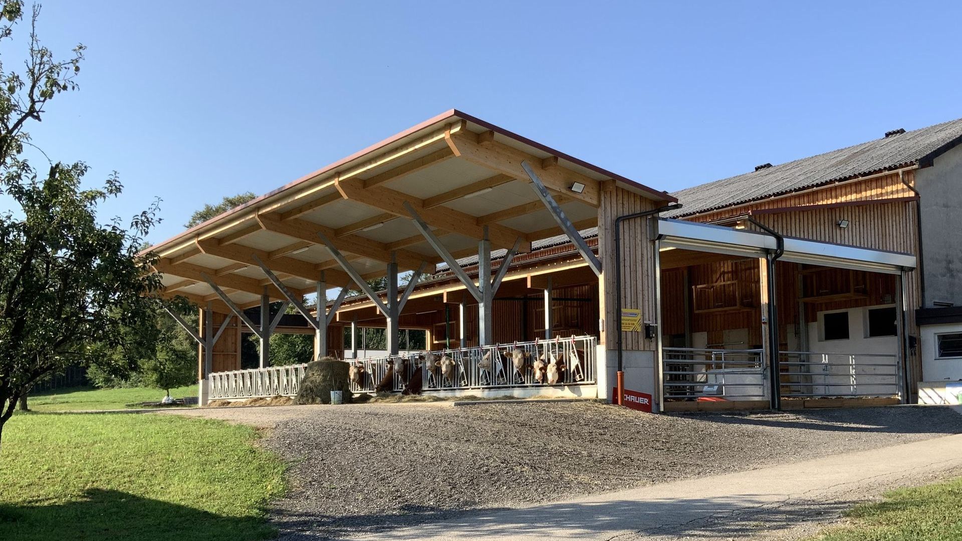 Neubau Rinderlaufstall für 26 Rinder Beim Neubau des Rinderlaufstalls für 26 Rinder wurde der Platz perfekt genutzt und der Stall sehr gut in das Gelände intigriert.