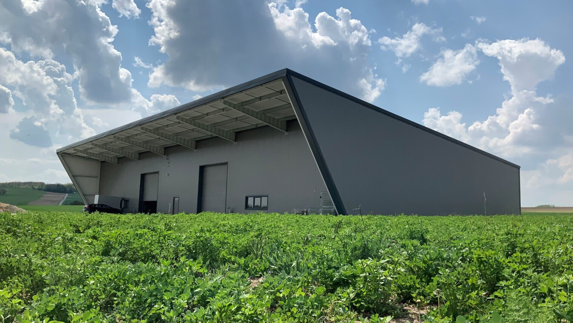 Neubau Rinderlaufstall für 26 Rinder Beim Neubau des Rinderlaufstalls für 26 Rinder wurde der Platz perfekt genutzt und der Stall sehr gut in das Gelände intigriert.