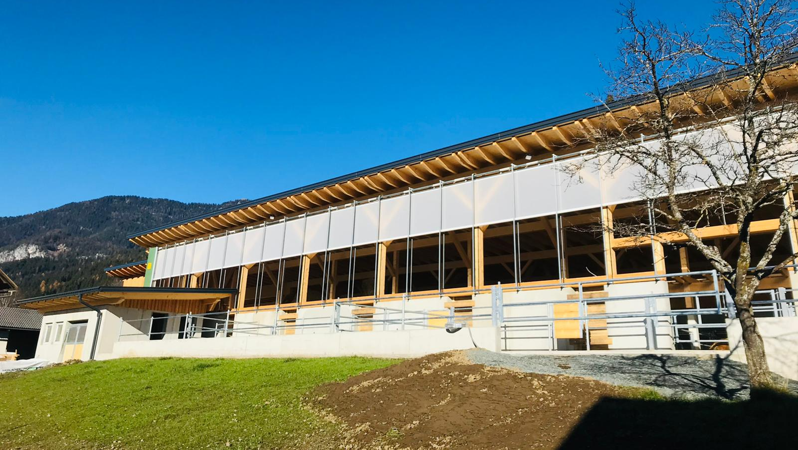 Neubau Rinderlaufstall für 26 Rinder Beim Neubau des Rinderlaufstalls für 26 Rinder wurde der Platz perfekt genutzt und der Stall sehr gut in das Gelände intigriert.