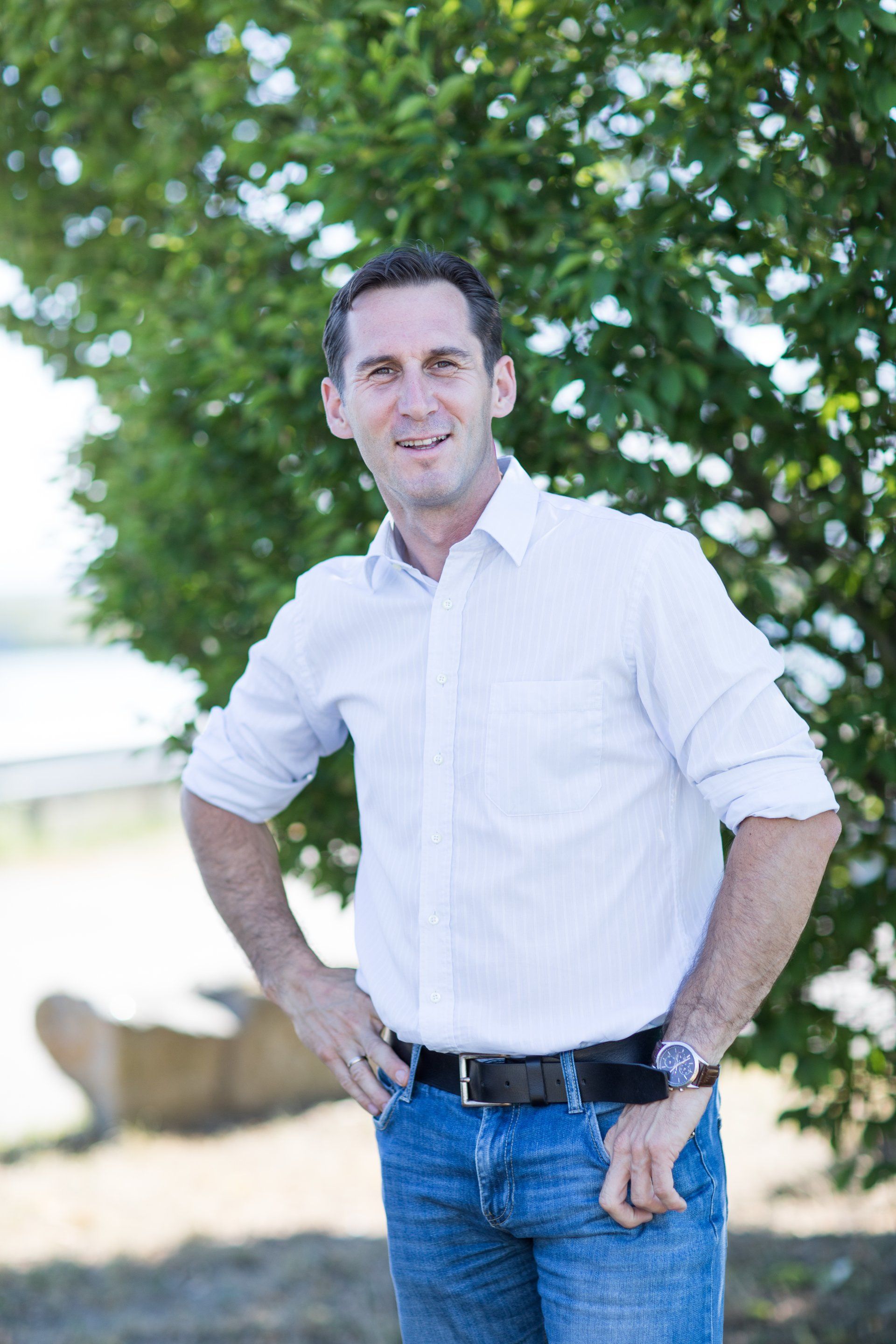 Stallbauexperte Baumeister Planungsbüro Minichshofer