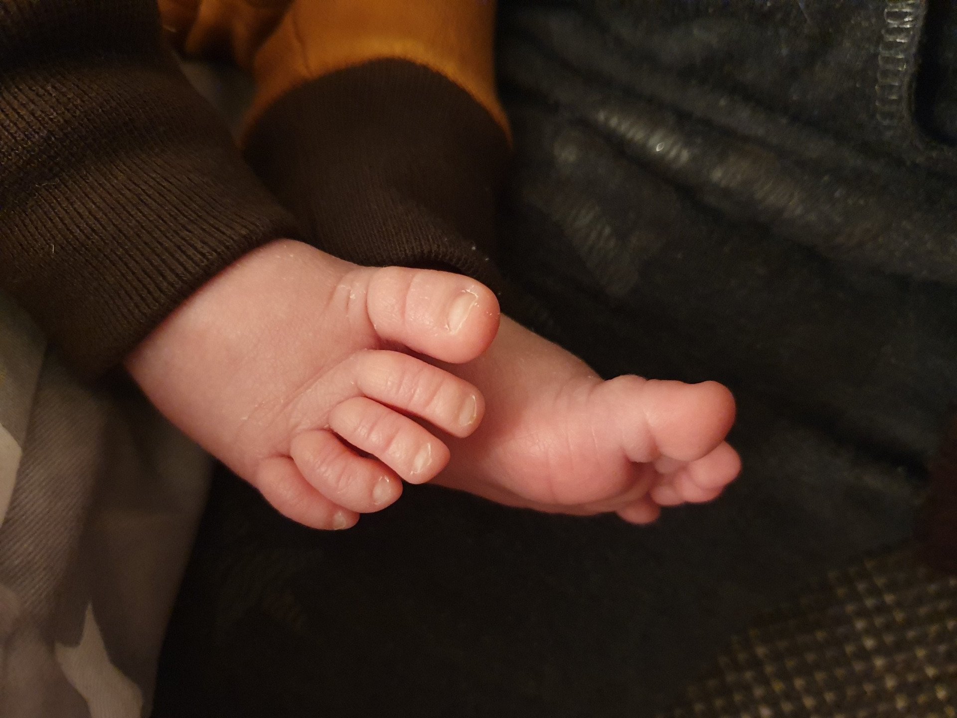 Beratung Familienbegleitung Abstillen Stillen Stillberatung Still-Beratung schlafen Schlaf Schlafberatung Schlaf-Beratung Beikost  Beikostberatung  Beikost-Beratung Trage-Beratung Trageberatung Formulaberatung