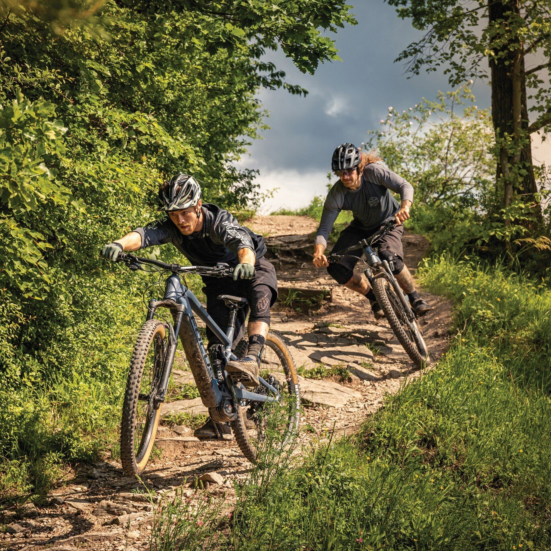 Focus e-Bike Focus e-Bike