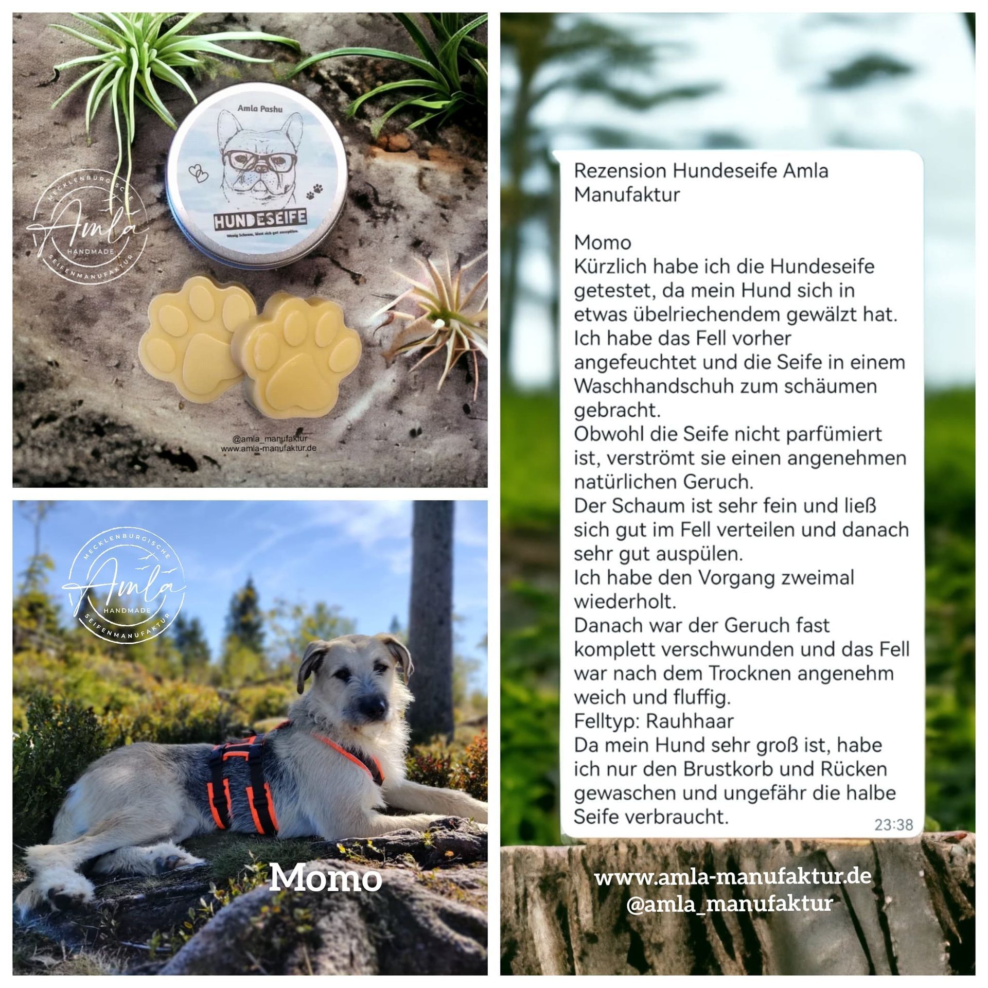Dogsoap, Hundeseife, Hundeshampoo parfümfrei