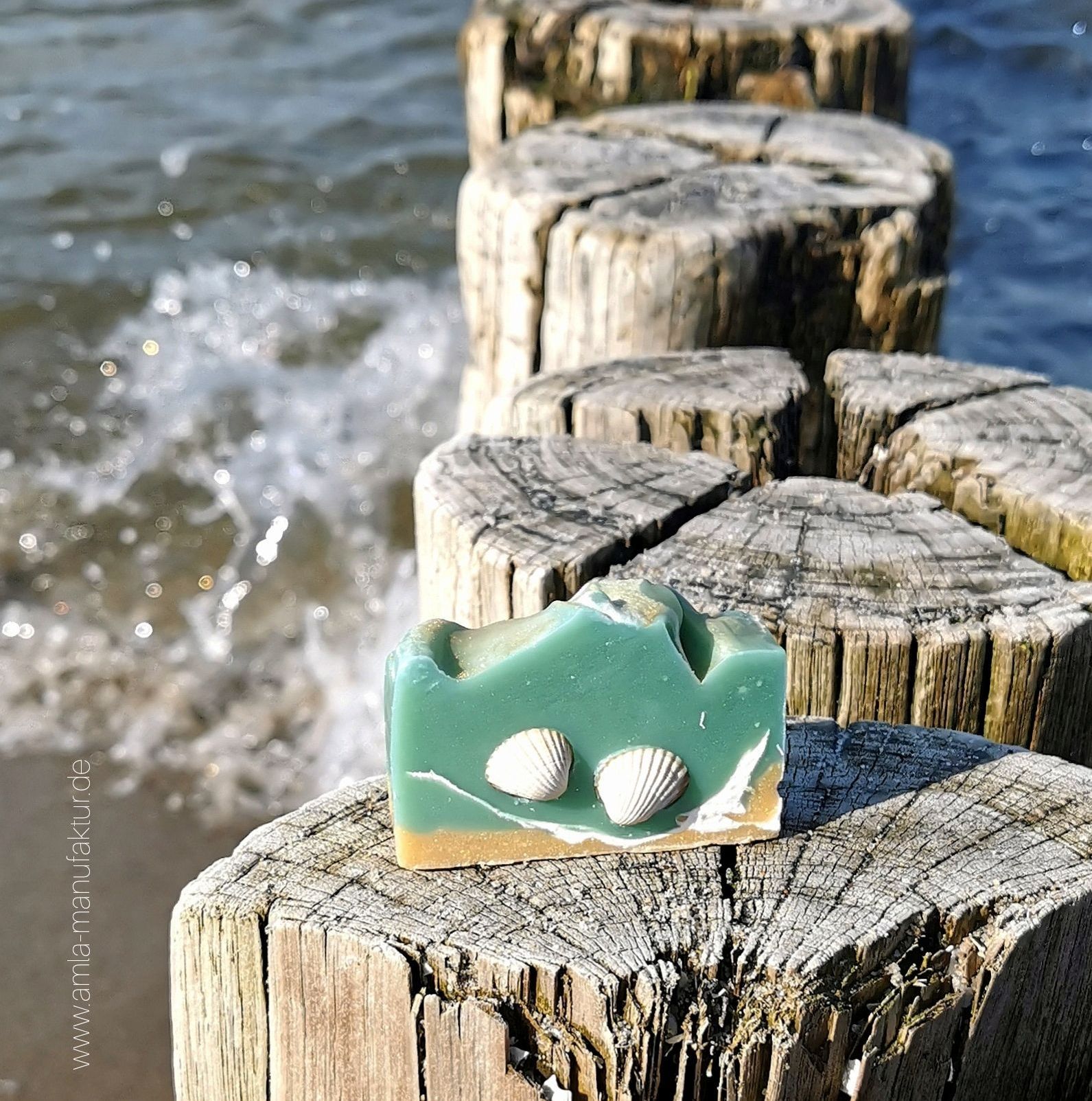 Duschseife, grüne Seife, Souvenier Muschelseife, Strandmuscheln, vegane Bioseife