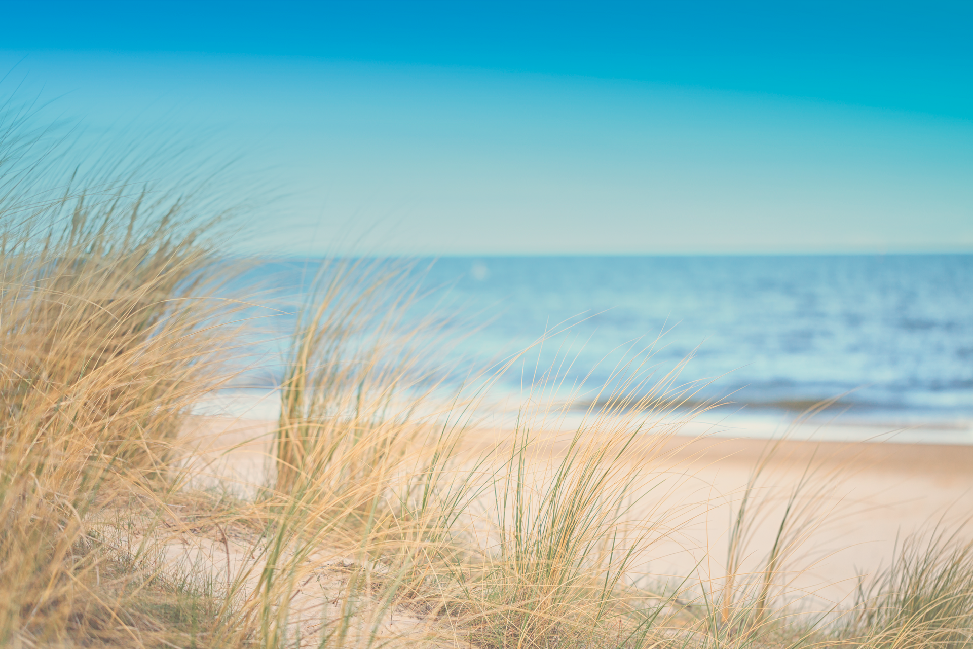 Amla mecklenburgische Seifenmanufaktur