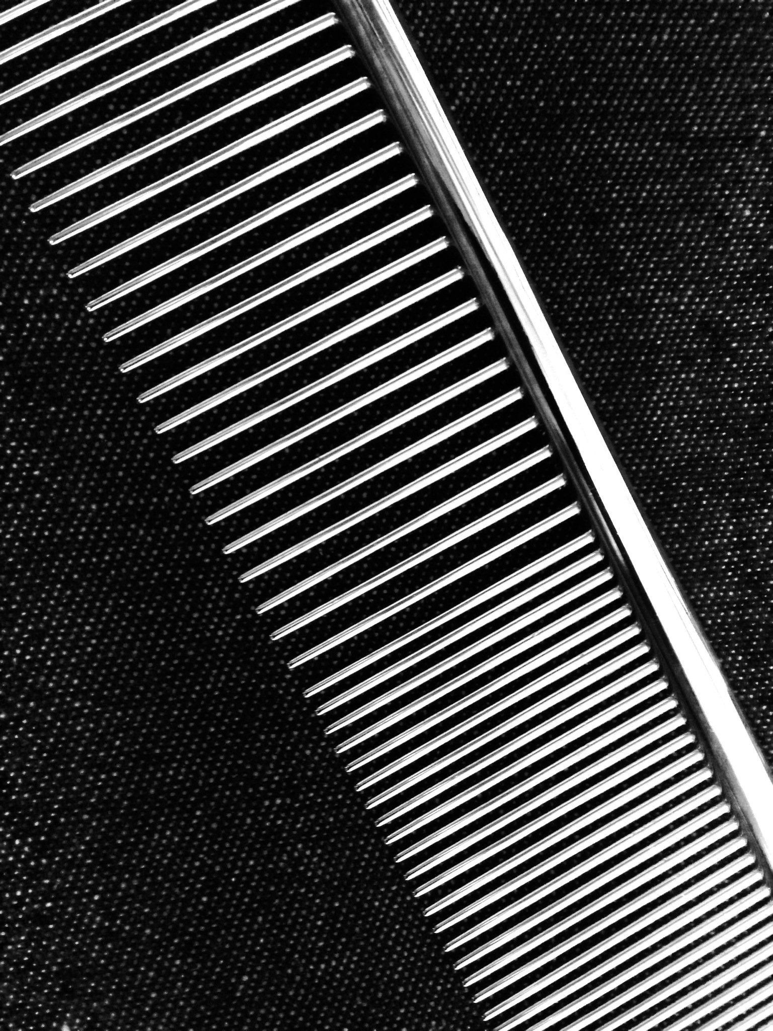 greyhound dog comb