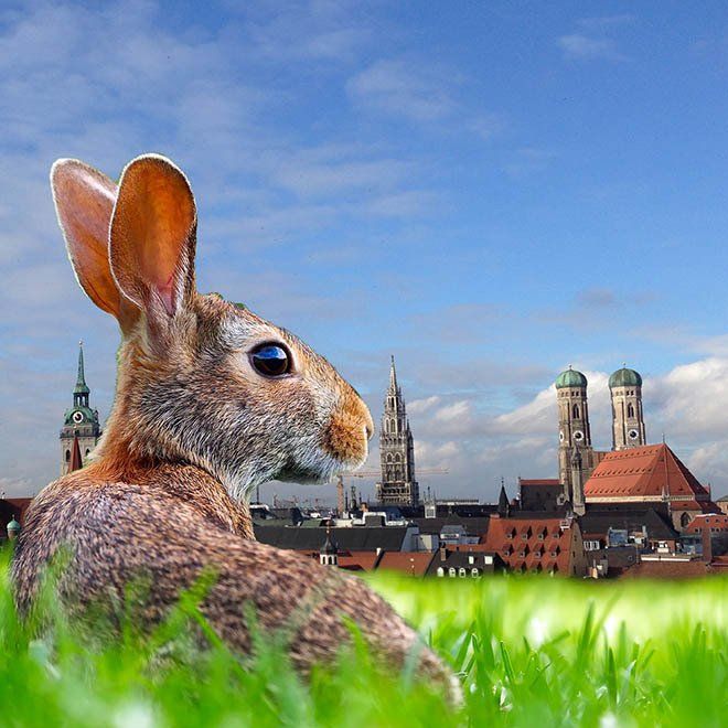 Ostern in München