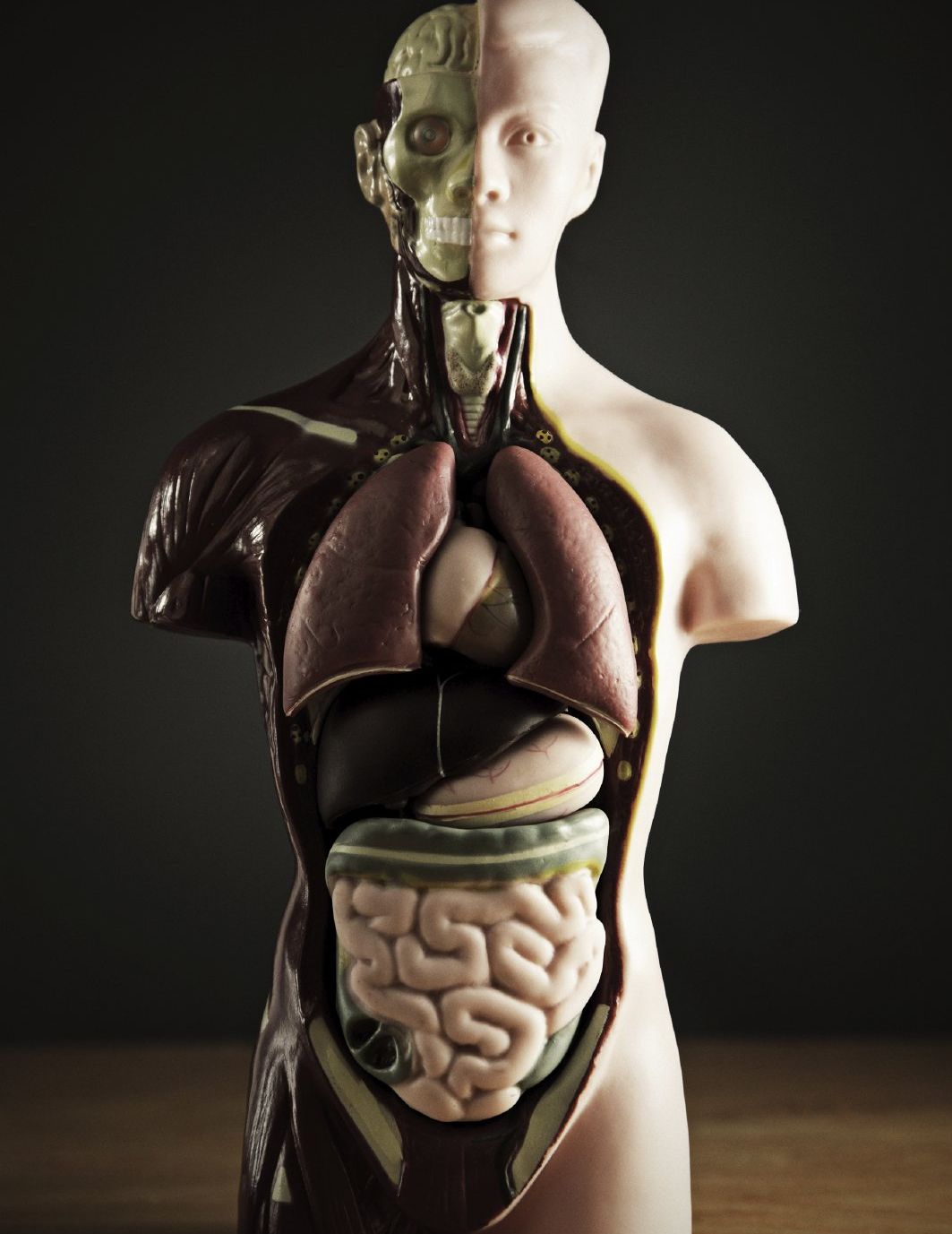 Ausleitungsverfahren, Therapie Ausleitungsverfahren, Therapie