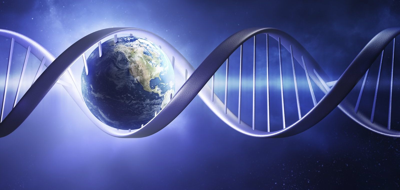 Der Mensch lebt in morphogenetischen Feldern