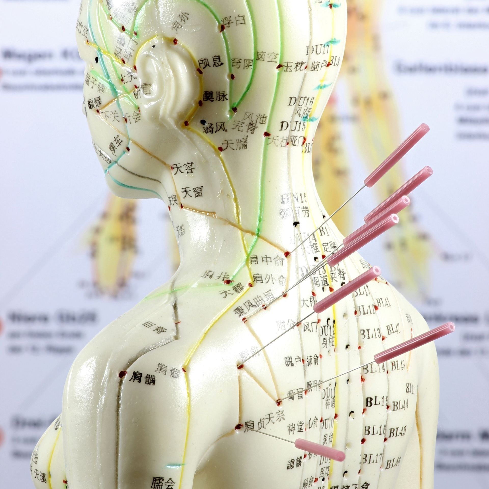 Meridiane & Meridiansystem - Das energetische System des Körpers